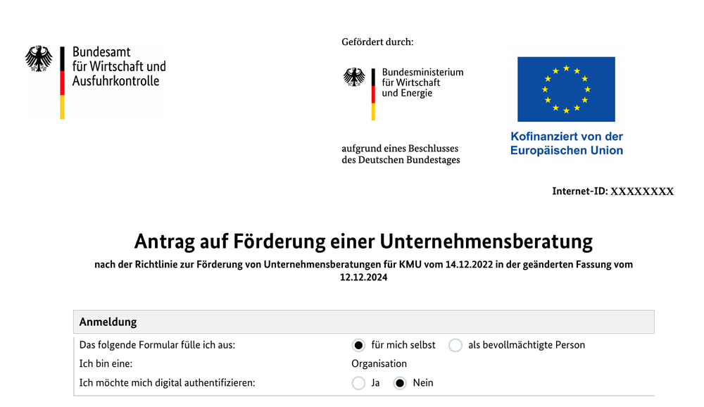 Auszug aus dem BAFA-Antragsformular: Bundesadler, Förderlogos von Bundesministerium und Europäischer Union, Titel "Antrag auf Förderung einer Unternehmensberatung" und der Abschnitt Anmeldung. Die Internet-ID ist durch Platzhalter ersetzt.